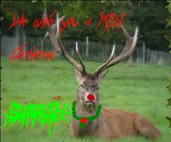 Surrah : We Wish You a MIDI Christmas Surrah : We Wish You a MIDI Christmas